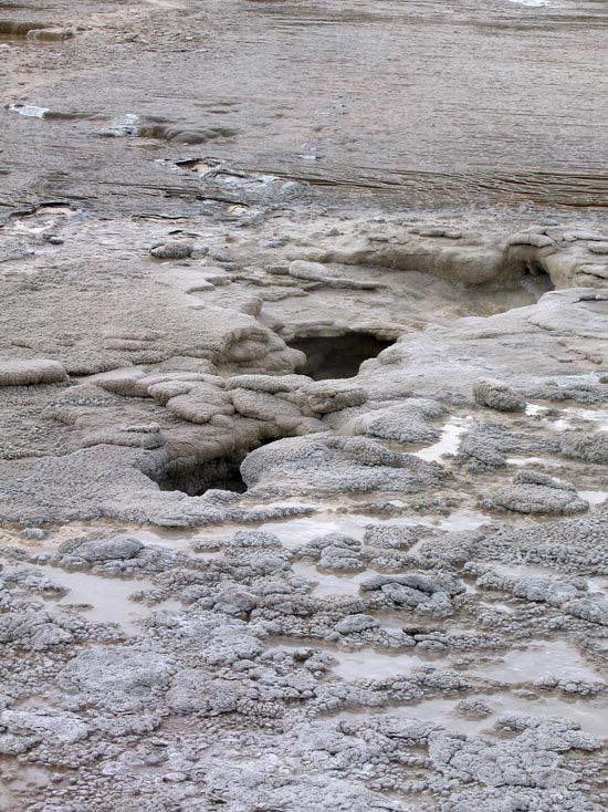 2006 family reunion in Yellowstone National Park